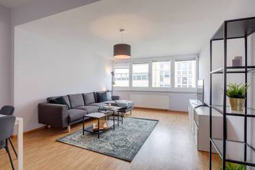 Spacious rental apartment near Königsplatz