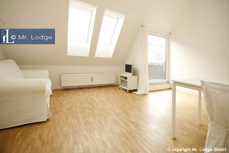 https://www.mrlodge.com/rent/2-room-apartment-munich-schwabing-5149