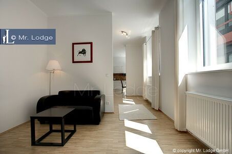 https://www.mrlodge.com/rent/1-room-apartment-munich-schwabing-5603