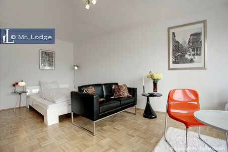 https://www.mrlodge.com/rent/1-room-apartment-munich-isarvorstadt-5724