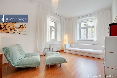 https://www.mrlodge.com/rent/3-room-apartment-munich-maxvorstadt-6536