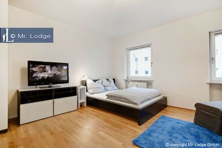 https://www.mrlodge.com/rent/1-room-apartment-munich-au-haidhausen-6565