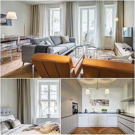 ID 9480: Luxury renovation and furnishing - living for the sophisticated in Maxvorstadt
