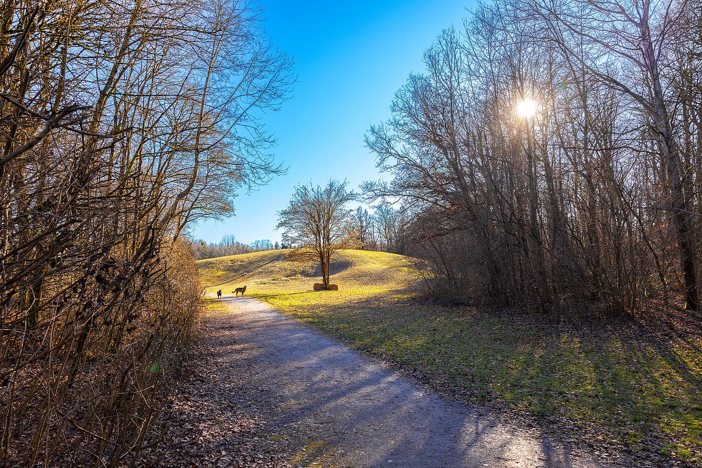 Apartment with 2 room | München-Trudering | 701781 | ...Freizeit