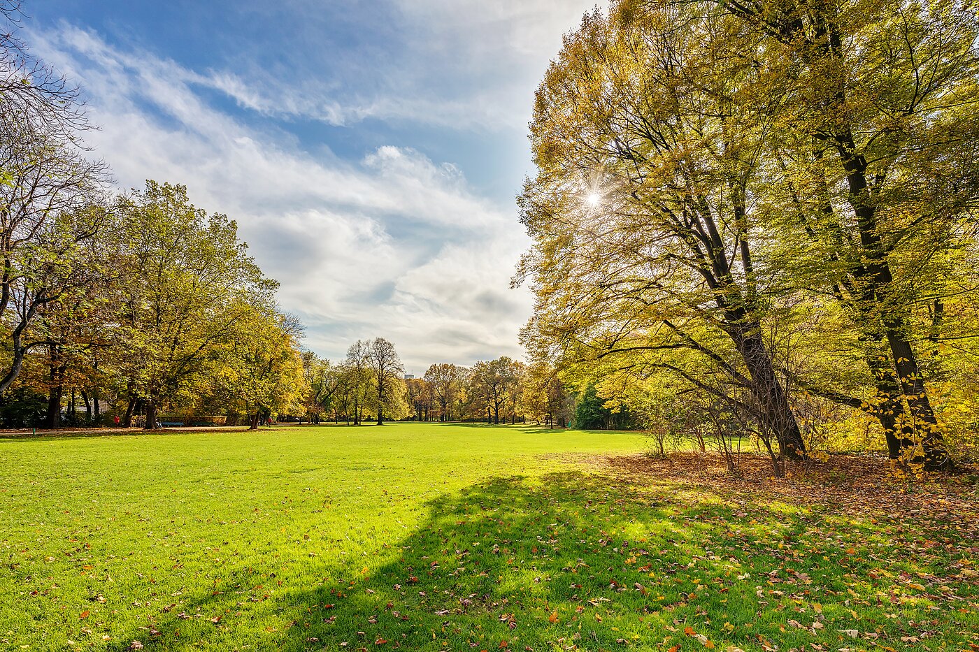 Apartment with 1 room | München-Milbertshofen | 70188 | Naherholung