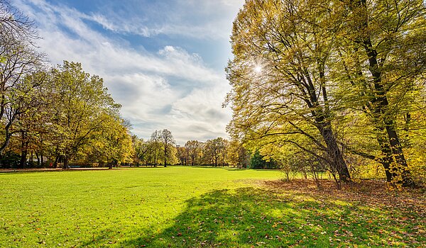 Apartment with 1 room | München-Milbertshofen | 70188 | Naherholung