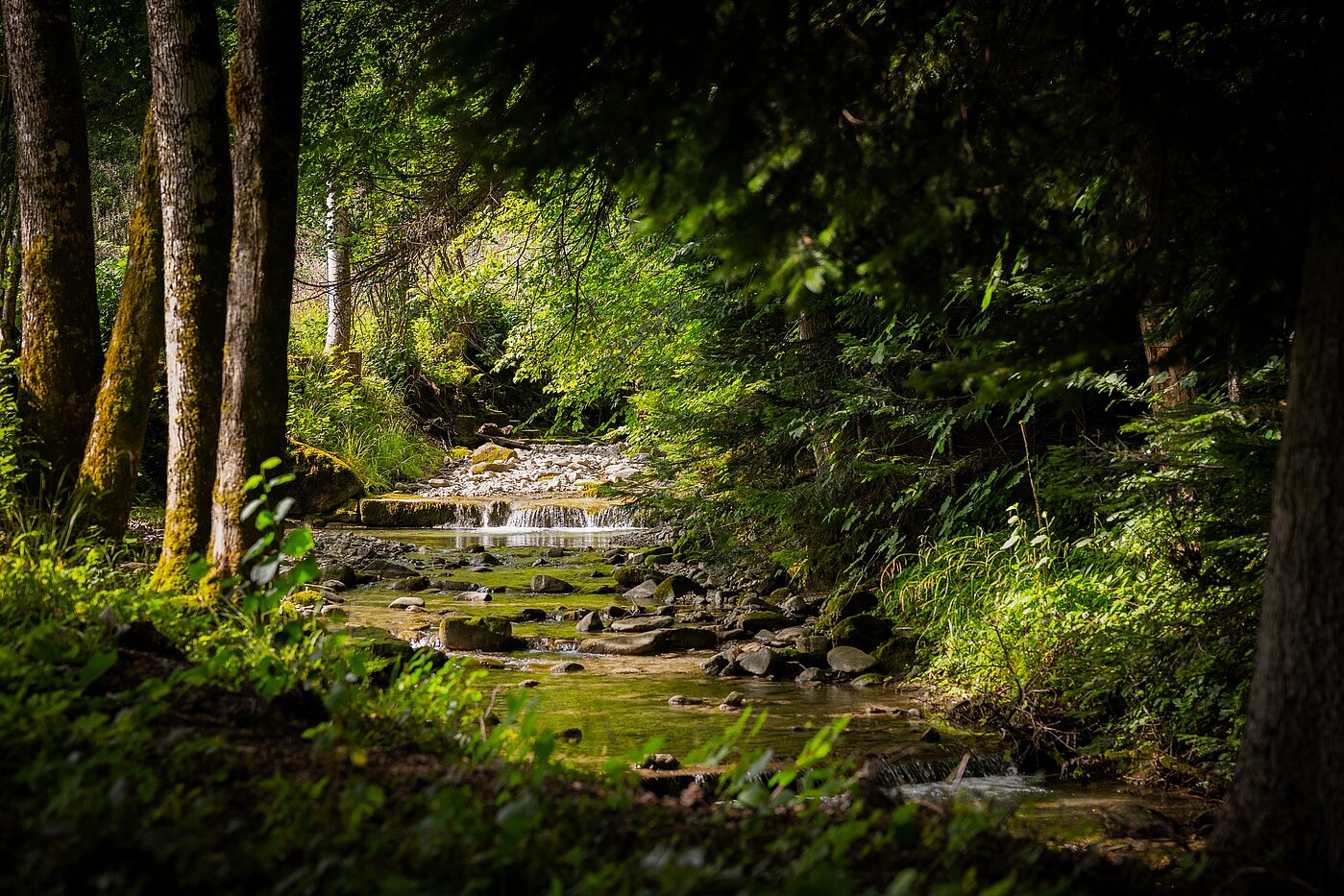 Ground floor apartment with 3 room | Bad Wiessee | 70053 | Zeiselbach