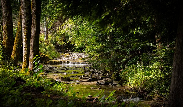 Ground floor apartment with 3 room | Bad Wiessee | 70053 | Zeiselbach