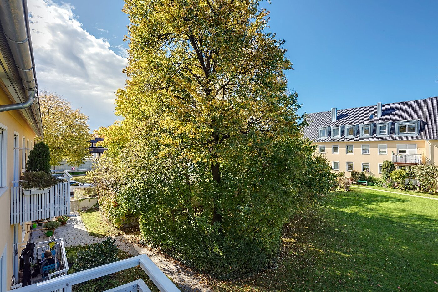 Apartment with 3 room | München-Untergiesing | 1909ML6 | Grünfläche