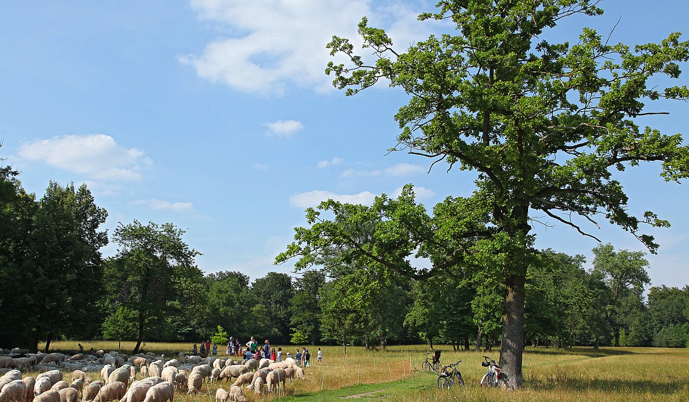 Apartment with 2 room | München-Freimann | 70158 | Englischer Garten