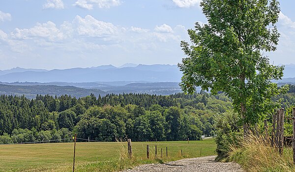 Detached house with 5 room | Icking | 70438 | Umgeben von Bergen