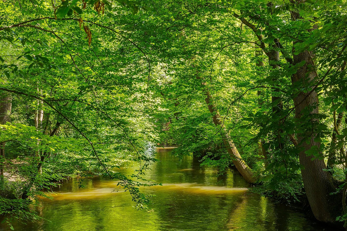 Apartment with 2 room | München-Pasing | 2108ML1 | Naherholung im Stadtpark