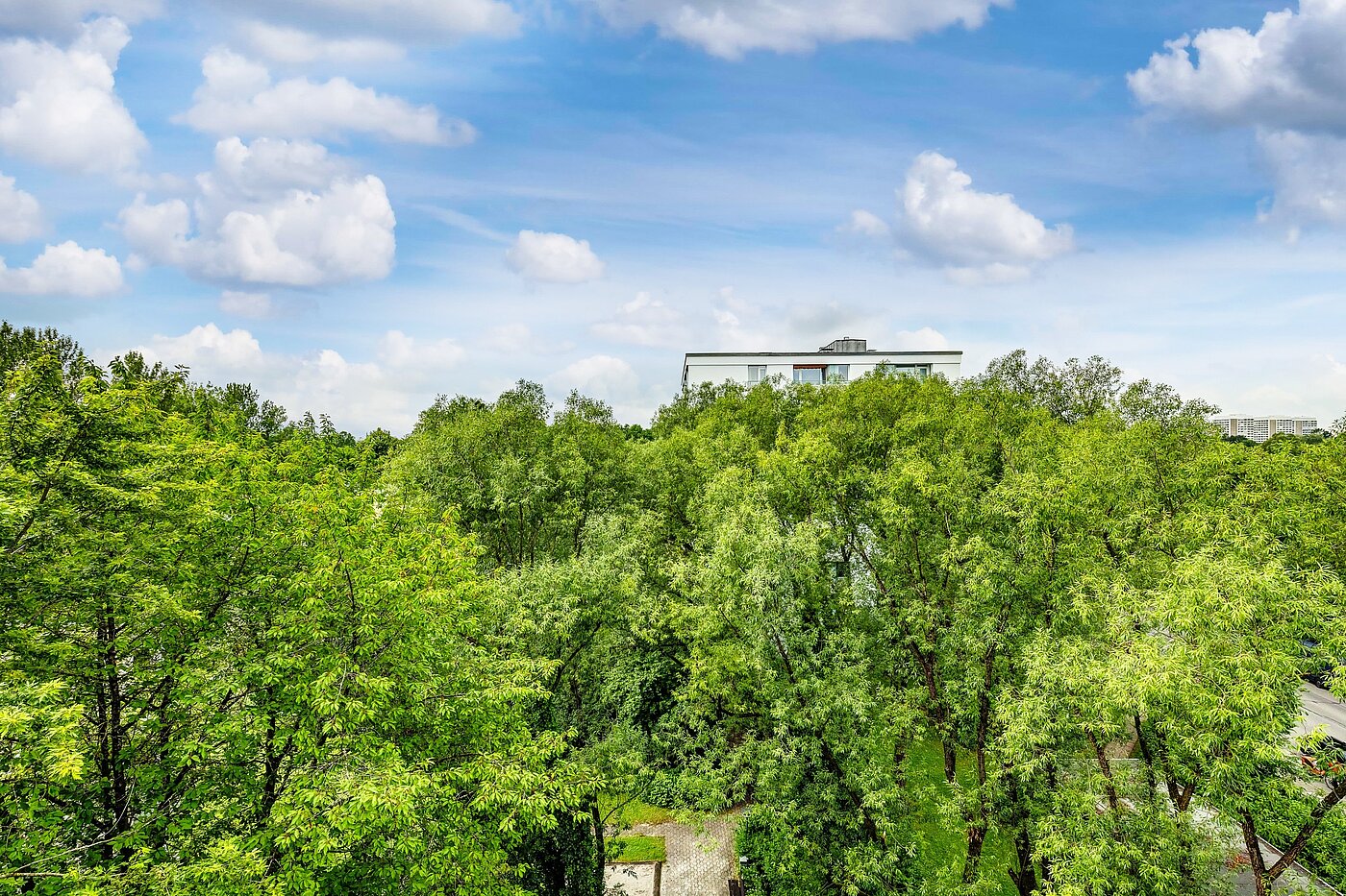 Apartment with 2 room | München-Bogenhausen | 2206ML3 | Sommerimpressionen