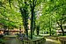 Zugang zum Haus im Sommer