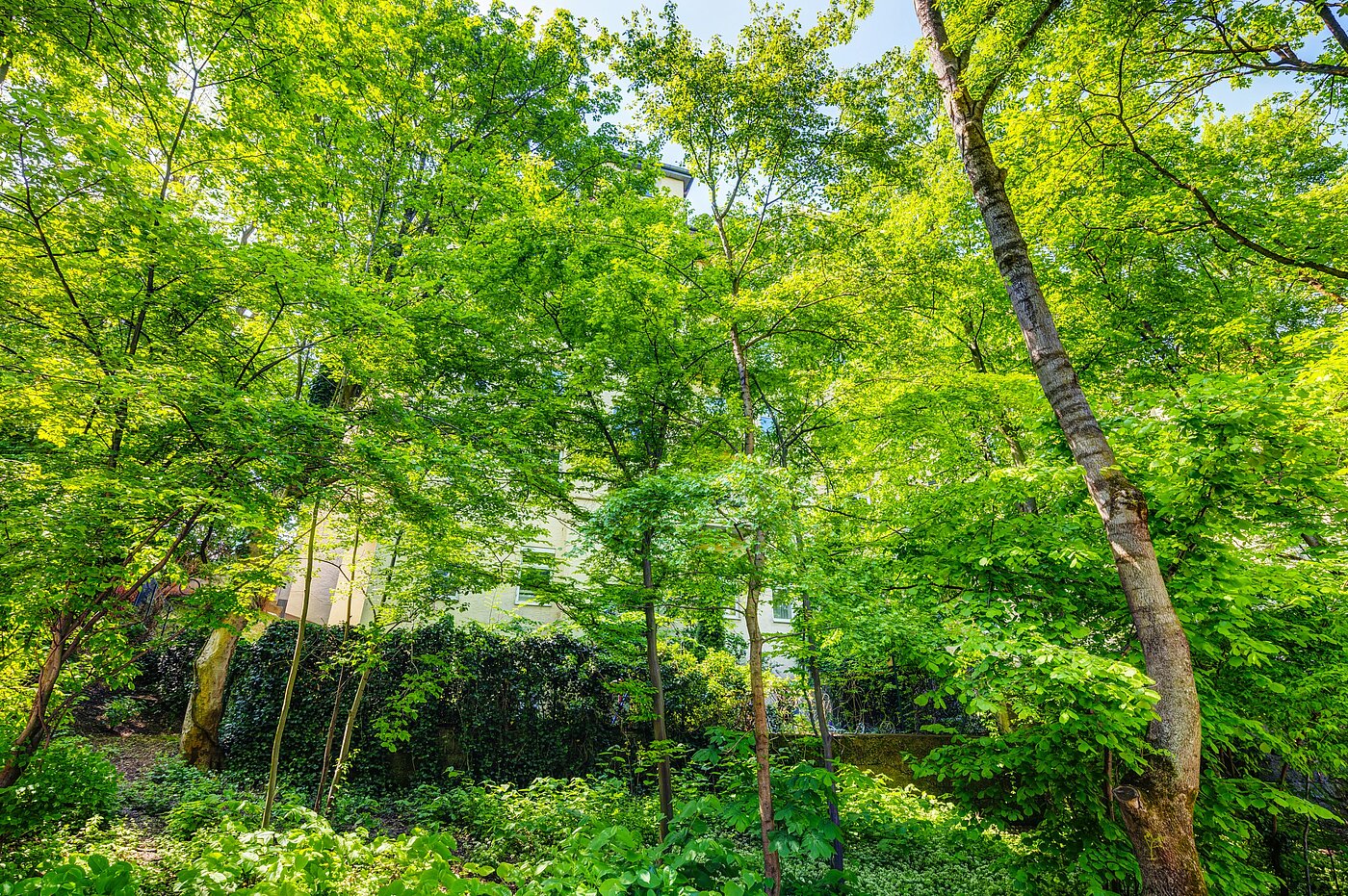 Apartment with 2.5 room | München-Sendling | 70067 | ...versteckt hinter Bäumen