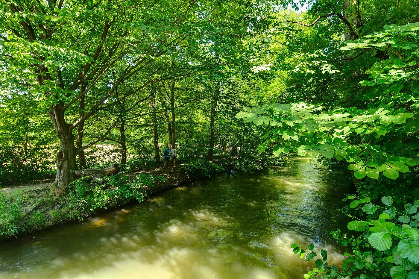 Semi-detached House with 6 room | München-Pasing | 2007ML5 | Die Würm um die Ecke