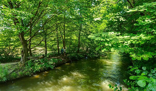 Semi-detached House with 6 room | München-Pasing | 2007ML5 | Die Würm um die Ecke
