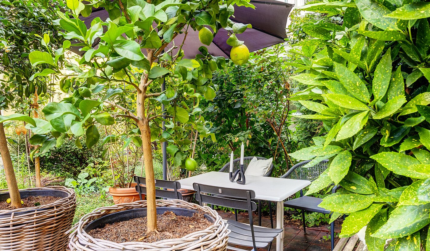 Ground floor apartment with 1 room | München-Haidhausen | 70228 | ...Südfrüchten und...