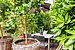 Ground floor apartment with 1 room | München-Haidhausen | 70228 | ...Südfrüchten und... | Thumbnail