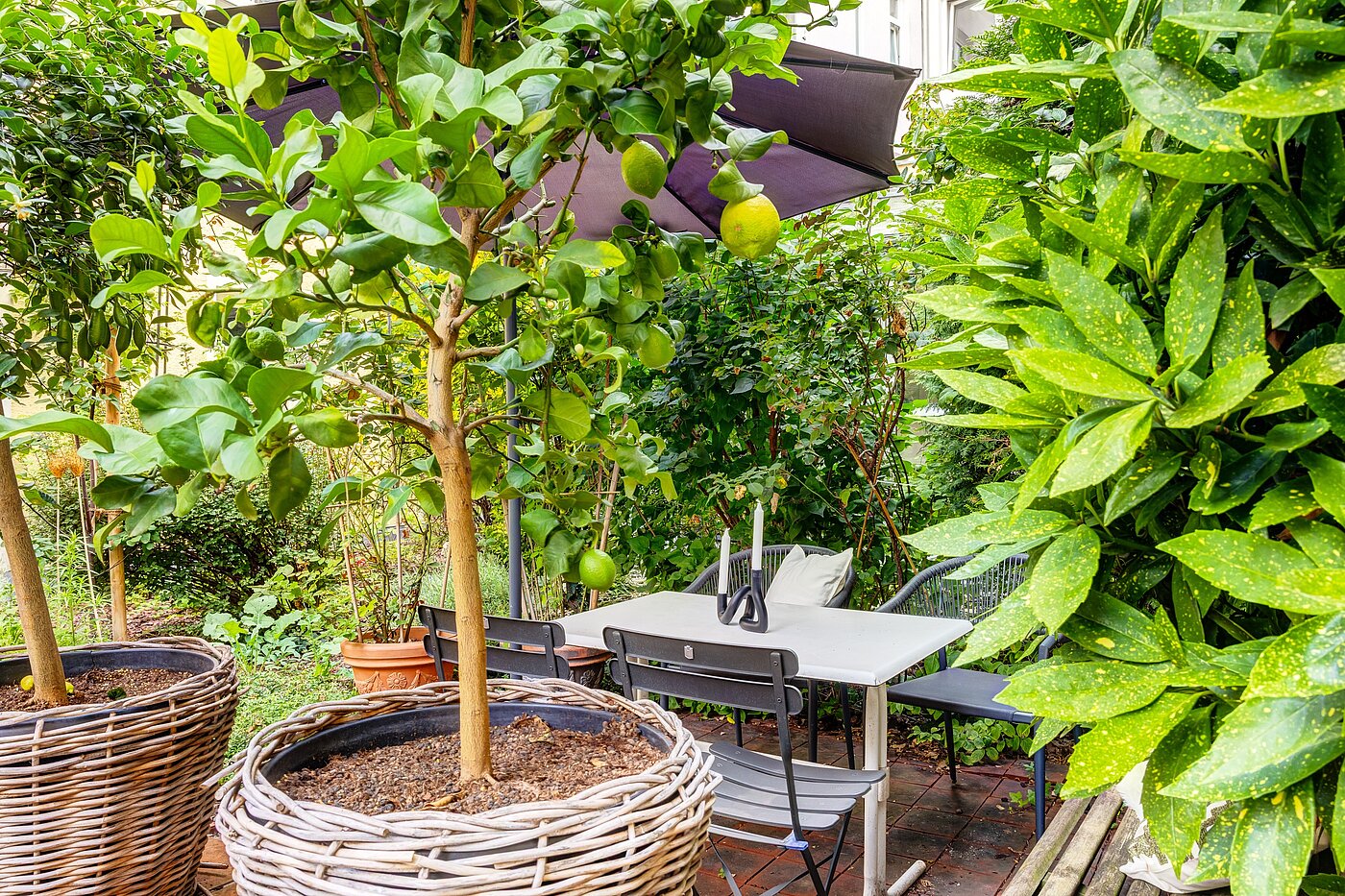 Ground floor apartment with 1 room | München-Haidhausen | 70228 | ...Südfrüchten und...