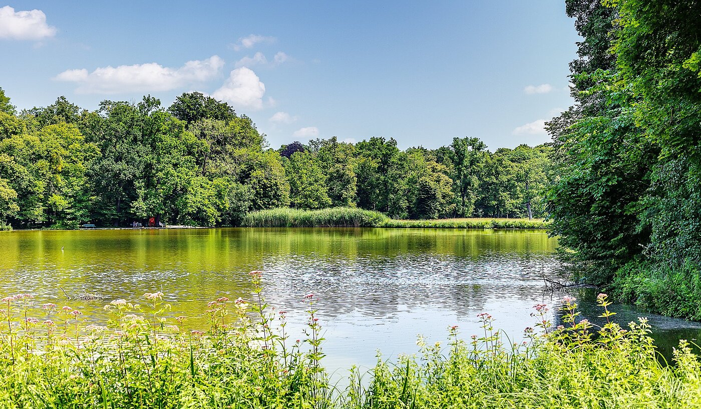 Apartment with 2 room | München-Nymphenburg | 2107ML3 | verweilen ein