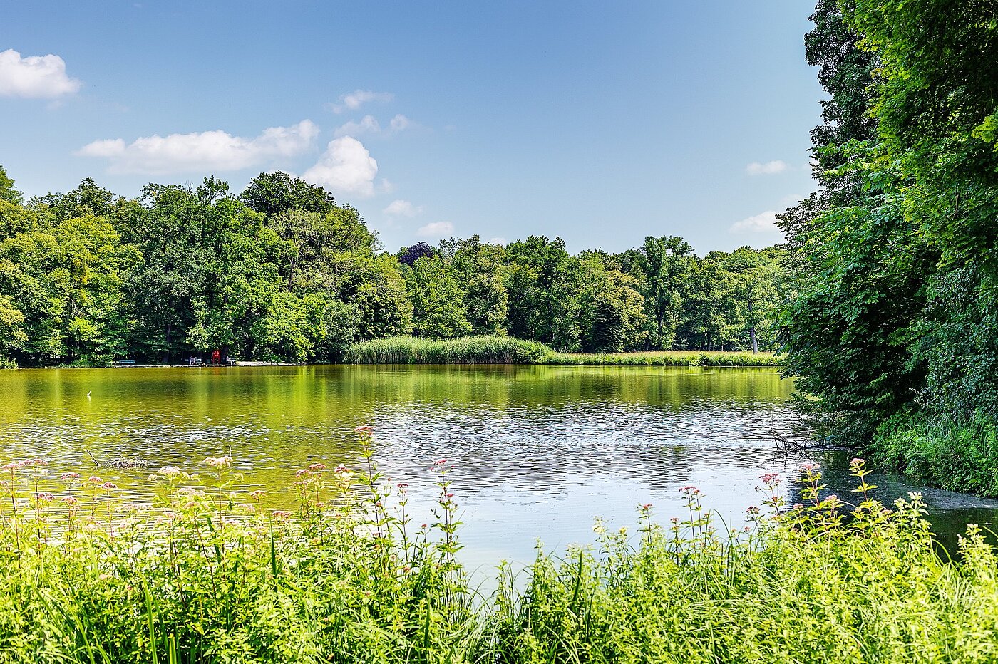 Apartment with 2 room | München-Nymphenburg | 2107ML3 | verweilen ein