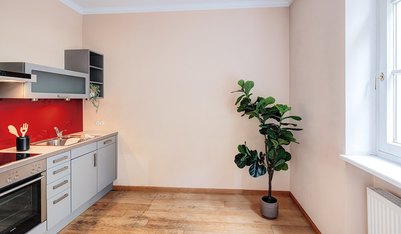 Ground floor apartment with 1 room | München-Haidhausen | 70228 | ...und Wohnküche