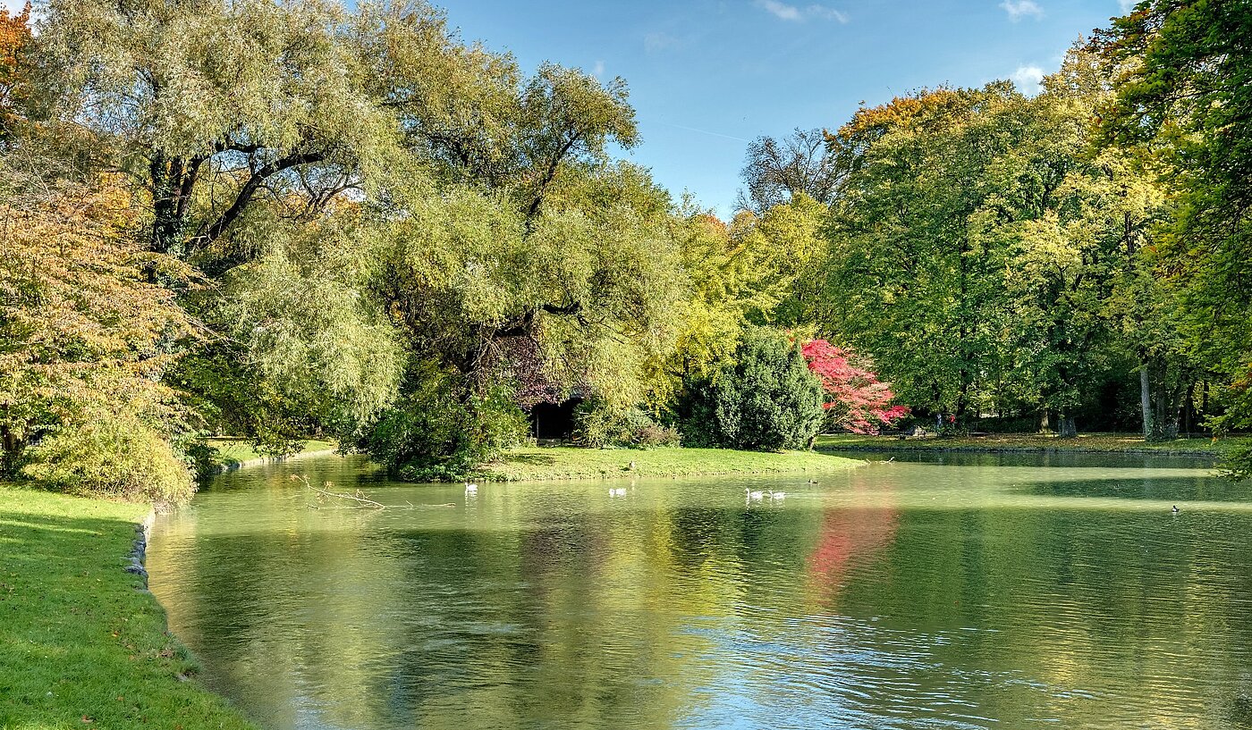 Raised Ground Floor with 2 room | München-Lehel | 2012ML1 | Herbst im Englischen Garten