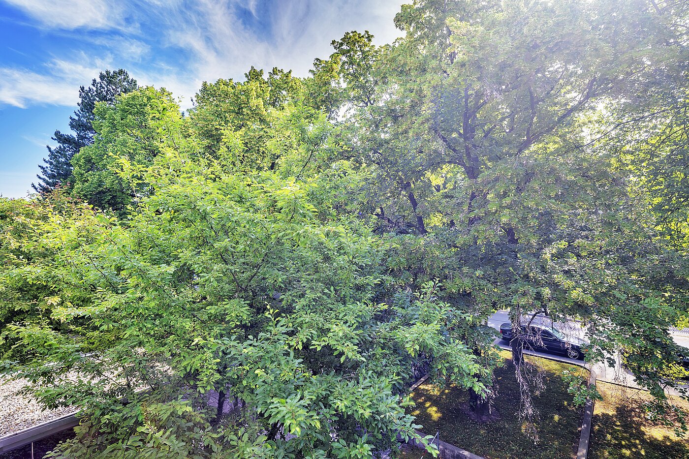 Apartment with 3.5 room | München-Bogenhausen | 70267 | ...Ausblick ins Grüne