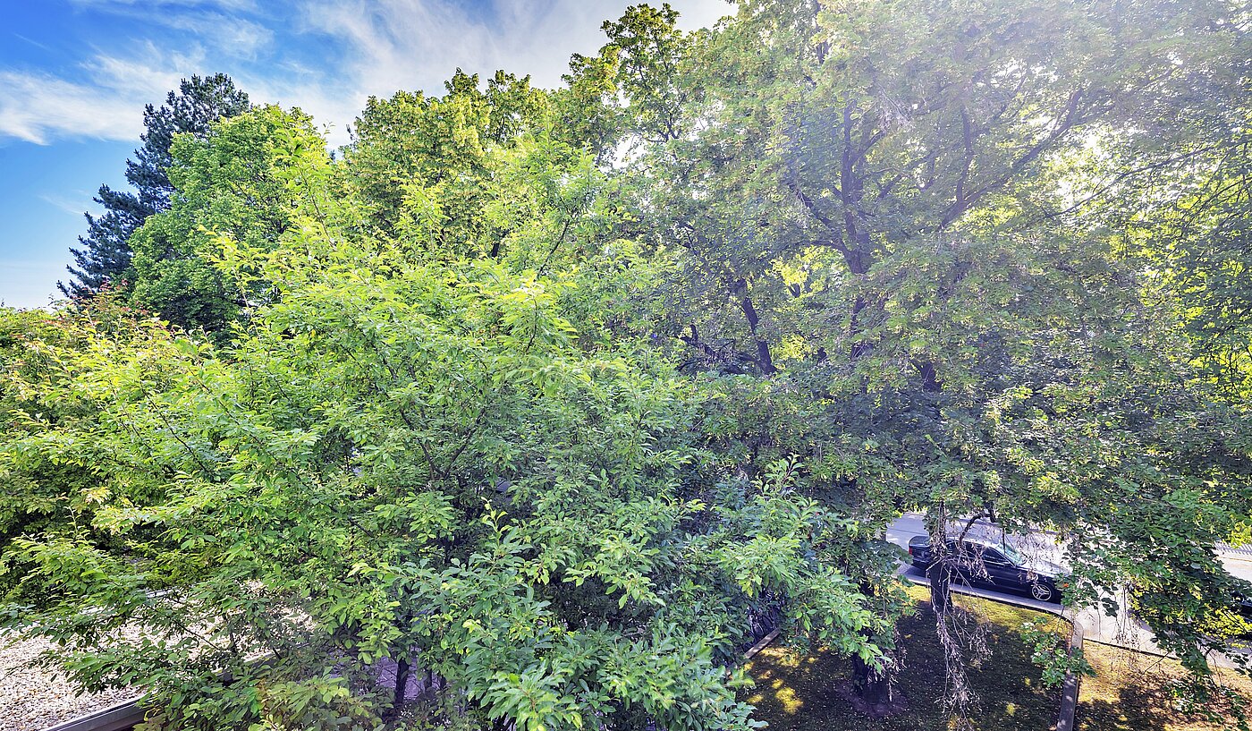 Apartment with 3.5 room | München-Bogenhausen | 70267 | ...Ausblick ins Grüne