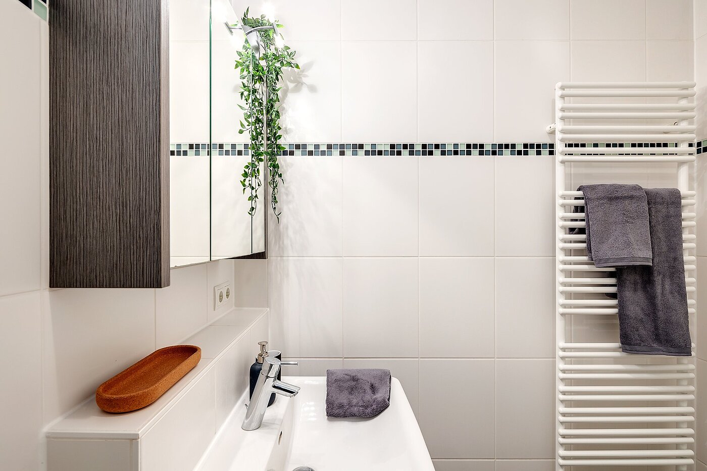 Apartment with 1 room | München-Pasing | 2108ML2 | mit Handtuchhalter