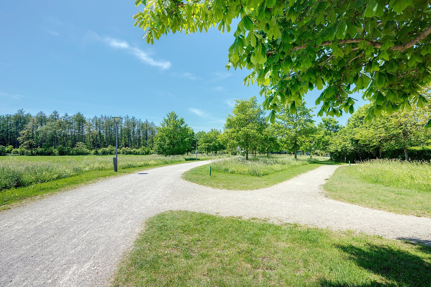 Corner townhouse with 6 room | München-Trudering | 70191 | ...Impressionen