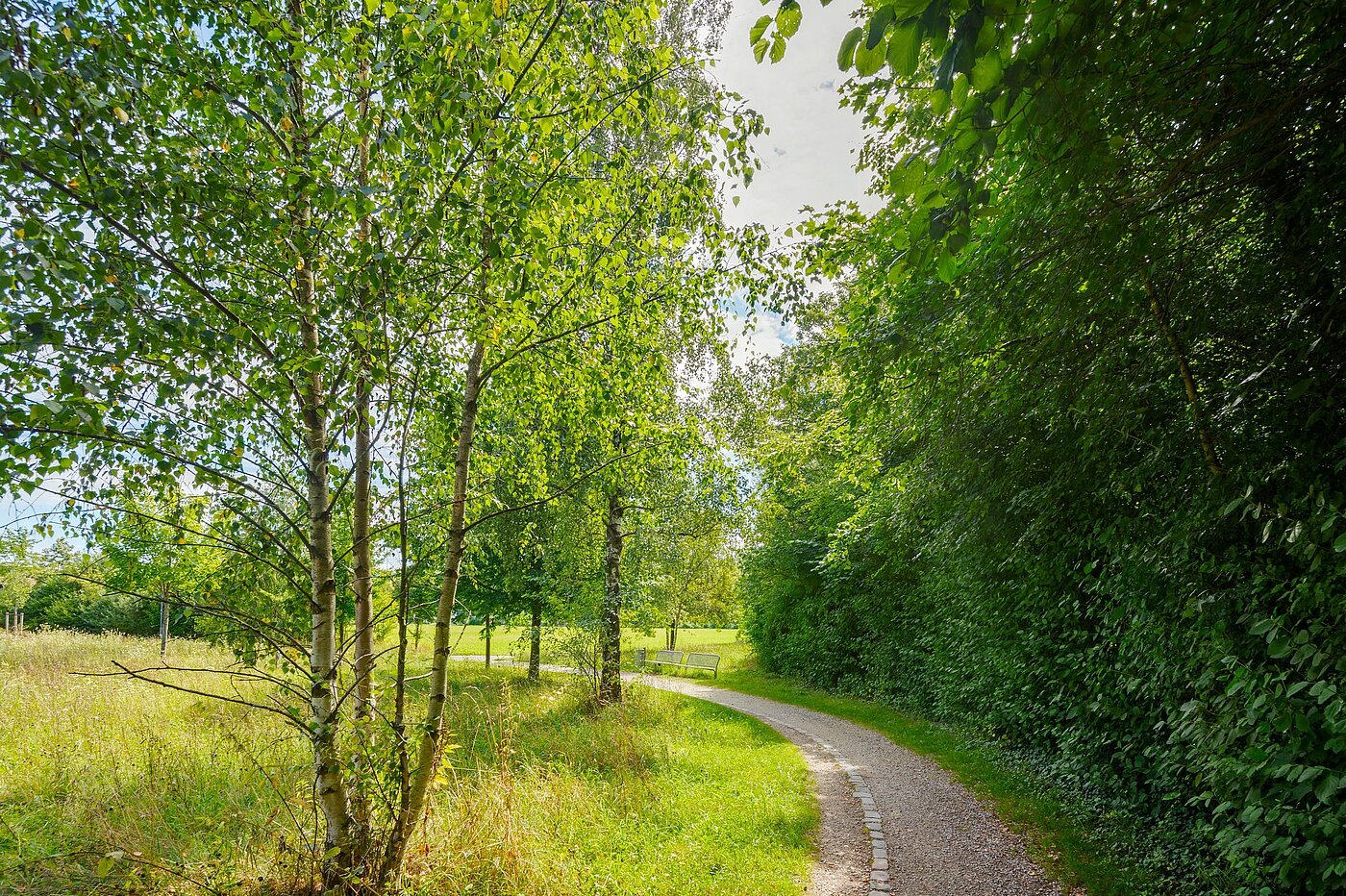 Apartment with 2 room | Haar | 2007ML7 | Grüne Oase...