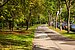 Apartment with 1 room | München-Solln | 70499 | Ruhige Umgebung... | Thumbnail