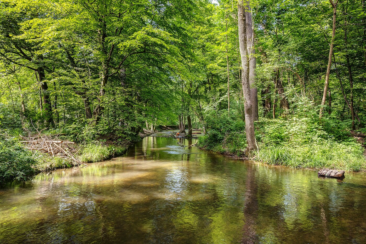 Apartment with 2 room | München-Pasing | 70141 | Grünflächen fußläufig