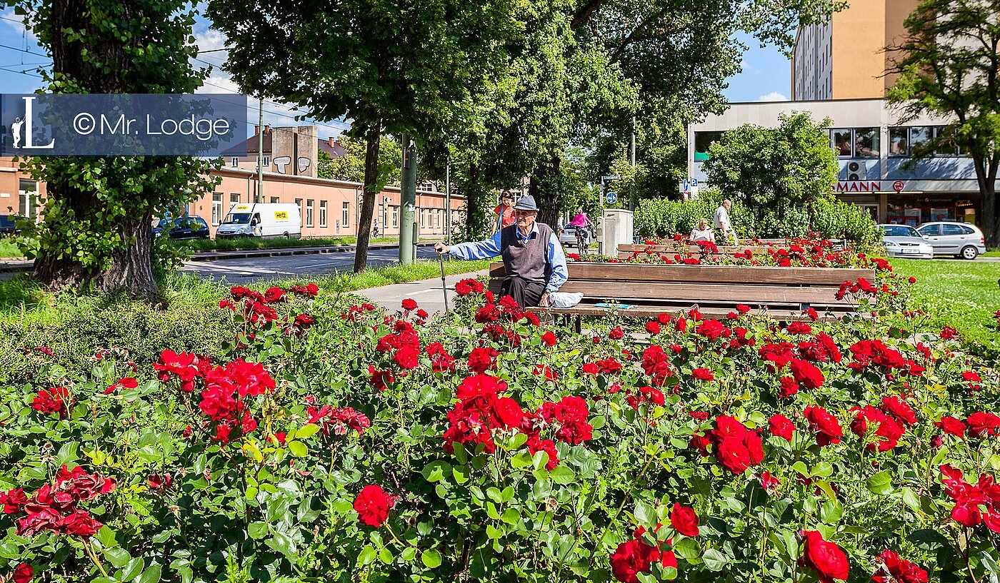 Apartment with 2 room | München-Nymphenburg | 1809ML2 | Leonrodplatz