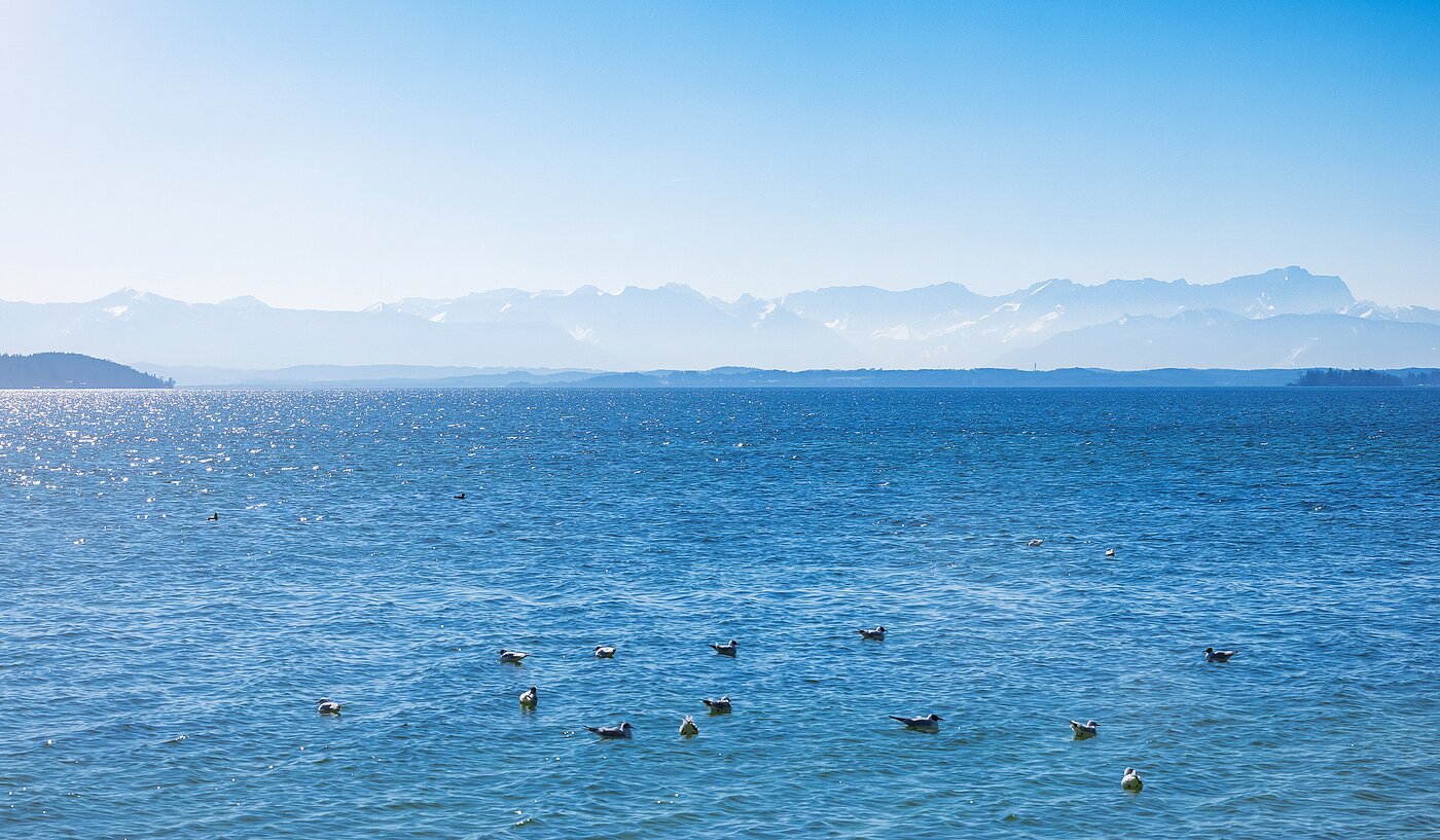 Apartment with 1 room | Starnberg | 2202ML2 | ...nicht weit entfernt