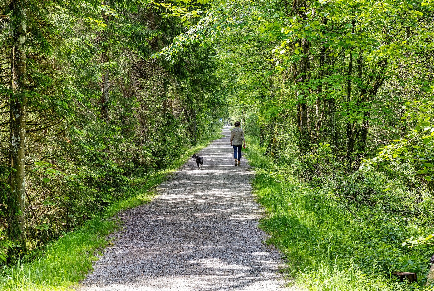 Apartment with 6 room | 70095 | Der Erlebnisweg an der Weissach