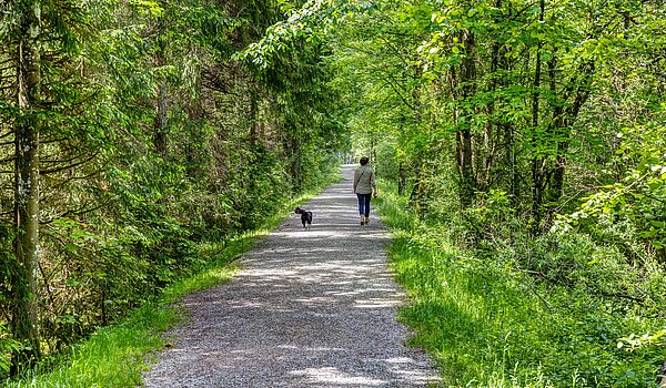 Apartment with 6 room | 70095 | Der Erlebnisweg an der Weissach
