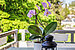 Apartment with 3 room | München-Trudering | 70443 | Sonniger Westbalkon | Thumbnail