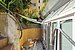 Büro | München-Maxvorstadt | 70498 | Terrasse | Thumbnail