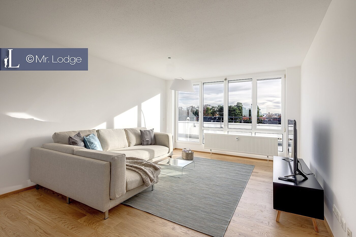 Attic Apartment with 4 room | 1608ML5 | großes Wohnzimmer