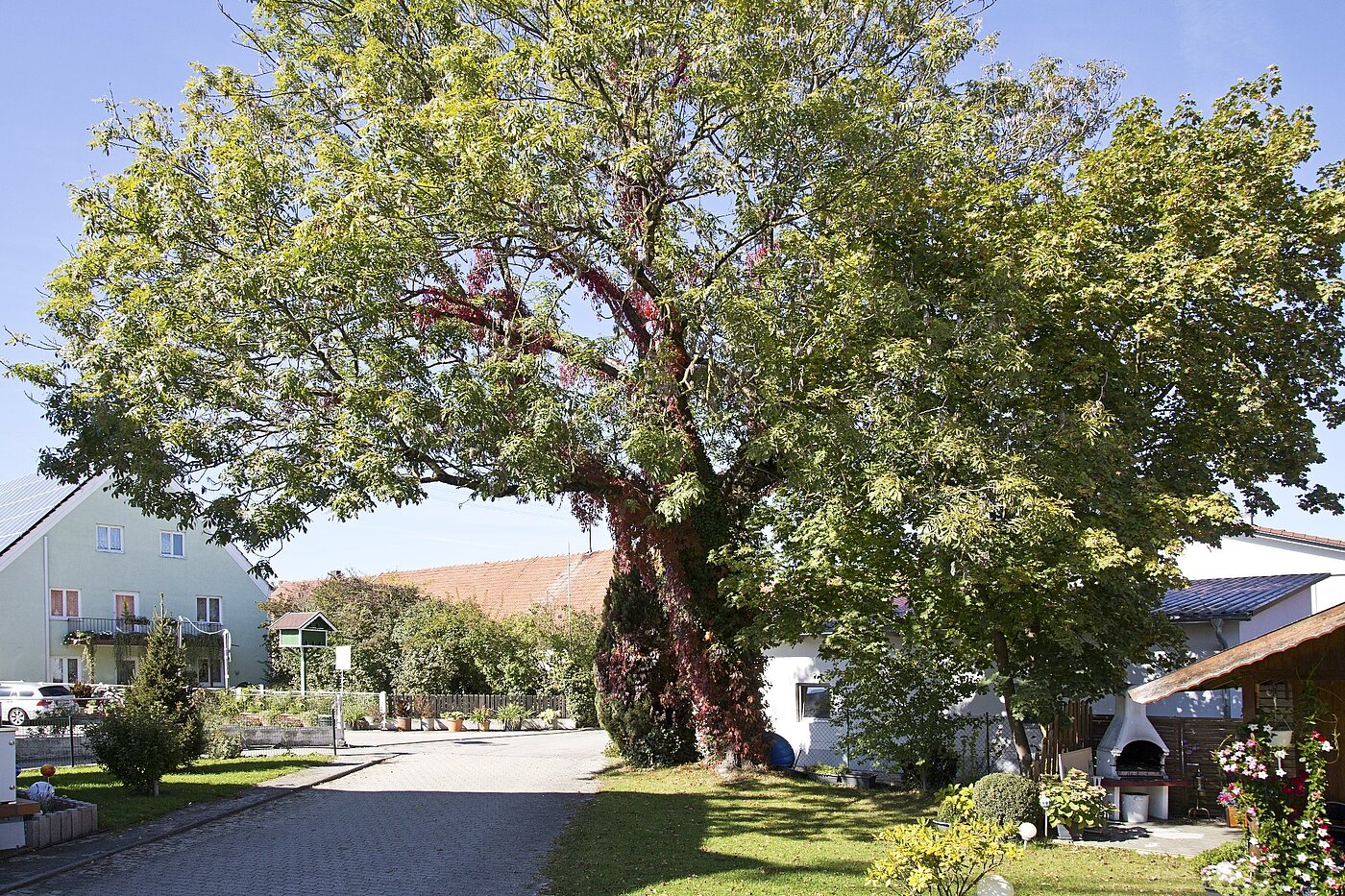 Apartment with 2 room | Eching | 1810ML2 | Ruhige Sackgasse