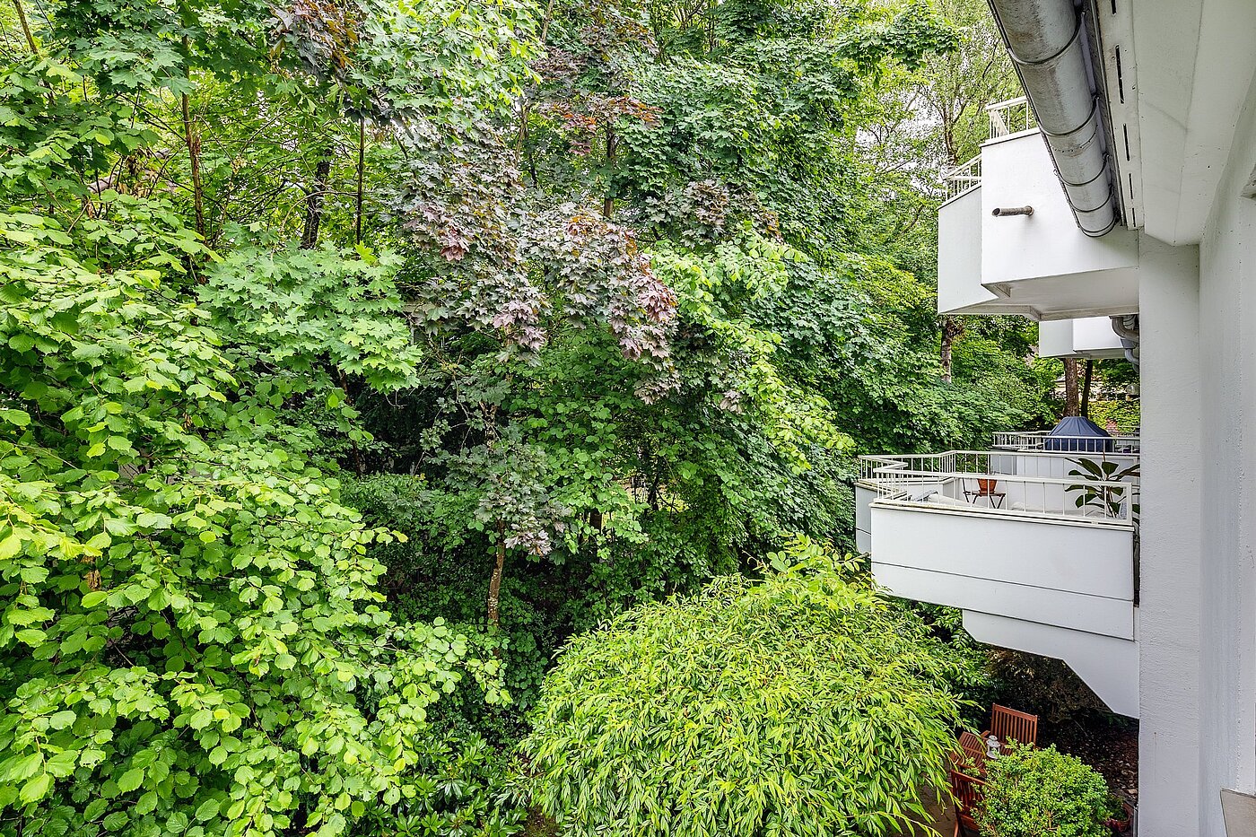 Apartment with 3 room | München-Harlaching | 2108ML3 | ...Blick in die grüne...