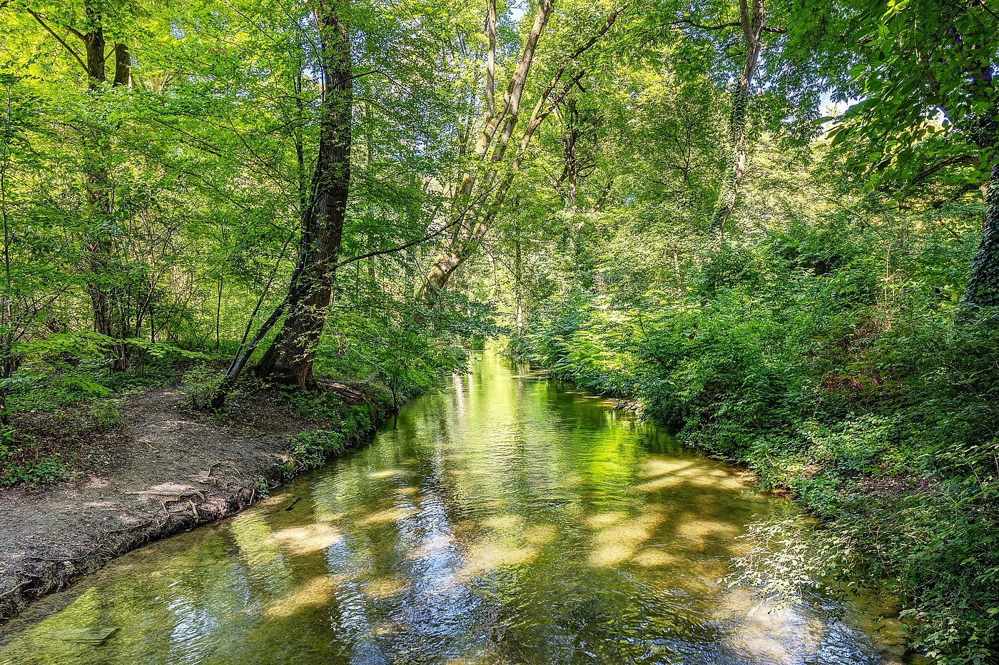 Maisonette with 3 room | München-Lehel | 2209ML5 | ...Englischen Garten...