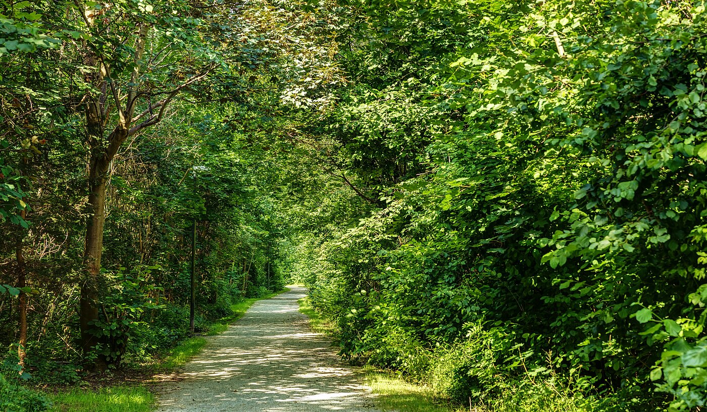 Apartment with 2 room | Neubiberg | 70129 | Naherholung garantiert