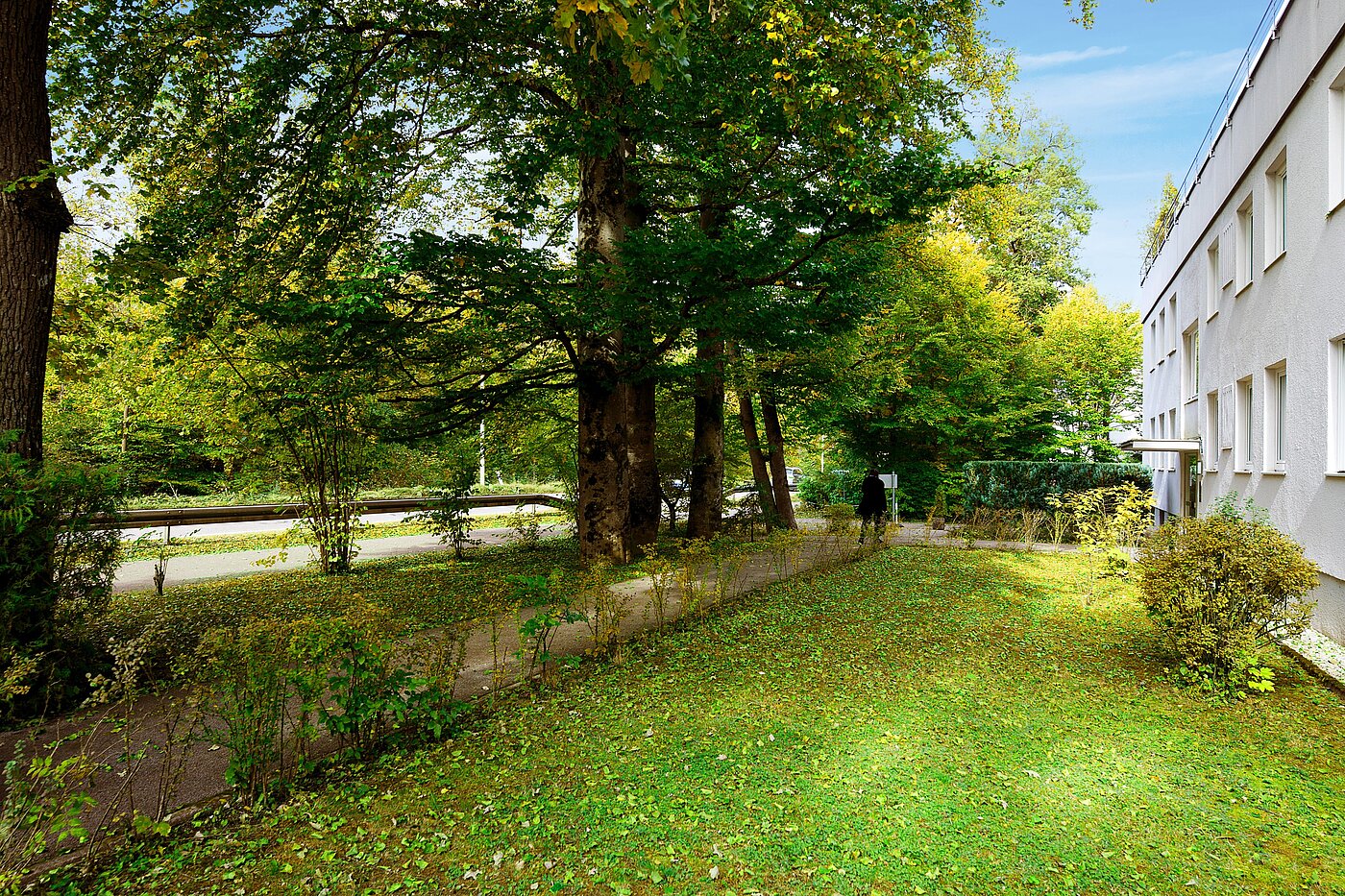 Apartment with 1 room | München-Solln | 70137 | Grüne Aussichten