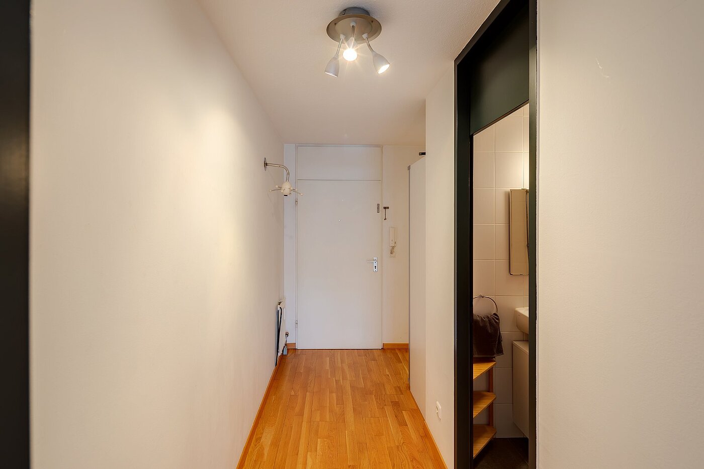 Apartment with 1 room | München-Isarvorstadt | 2110ML3 | Eingangsbereich