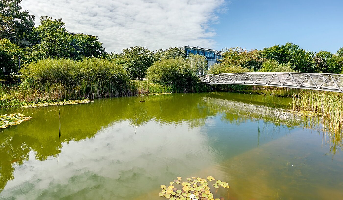 Apartment with 2 room | Haar | 2007ML7 | ...direkt um die Ecke