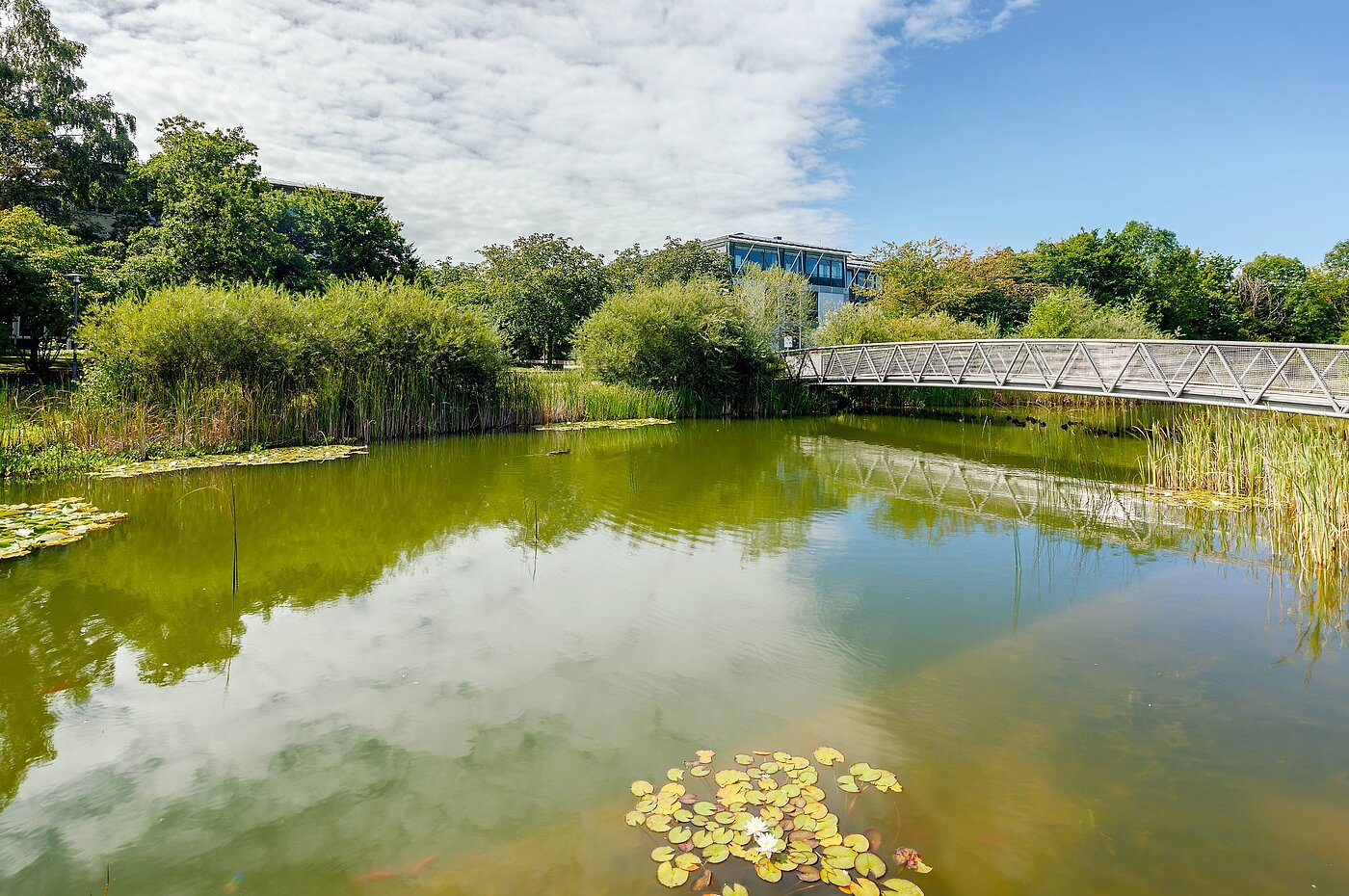 Apartment with 2 room | Haar | 2007ML7 | ...direkt um die Ecke